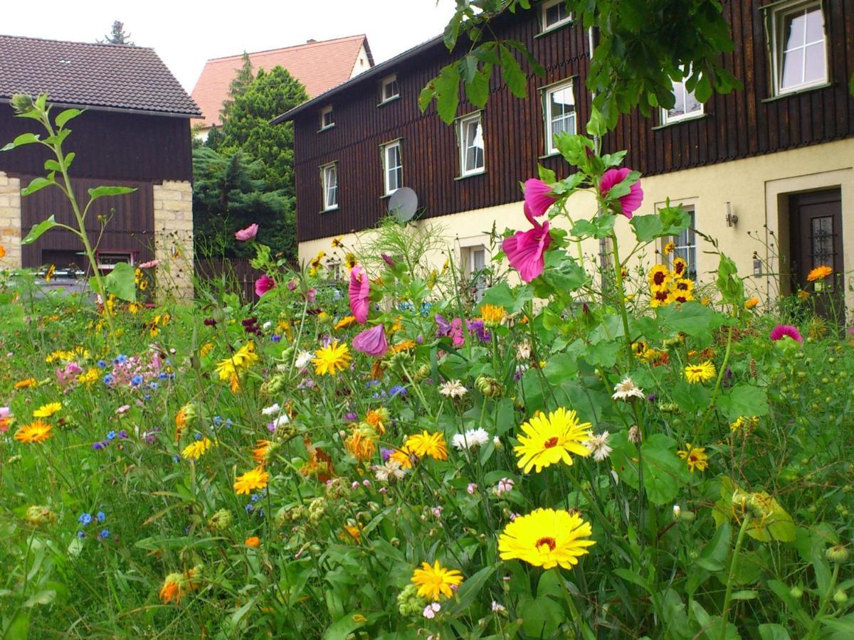 Comfy Apartment In Weissig With Garden Δωμάτιο φωτογραφία